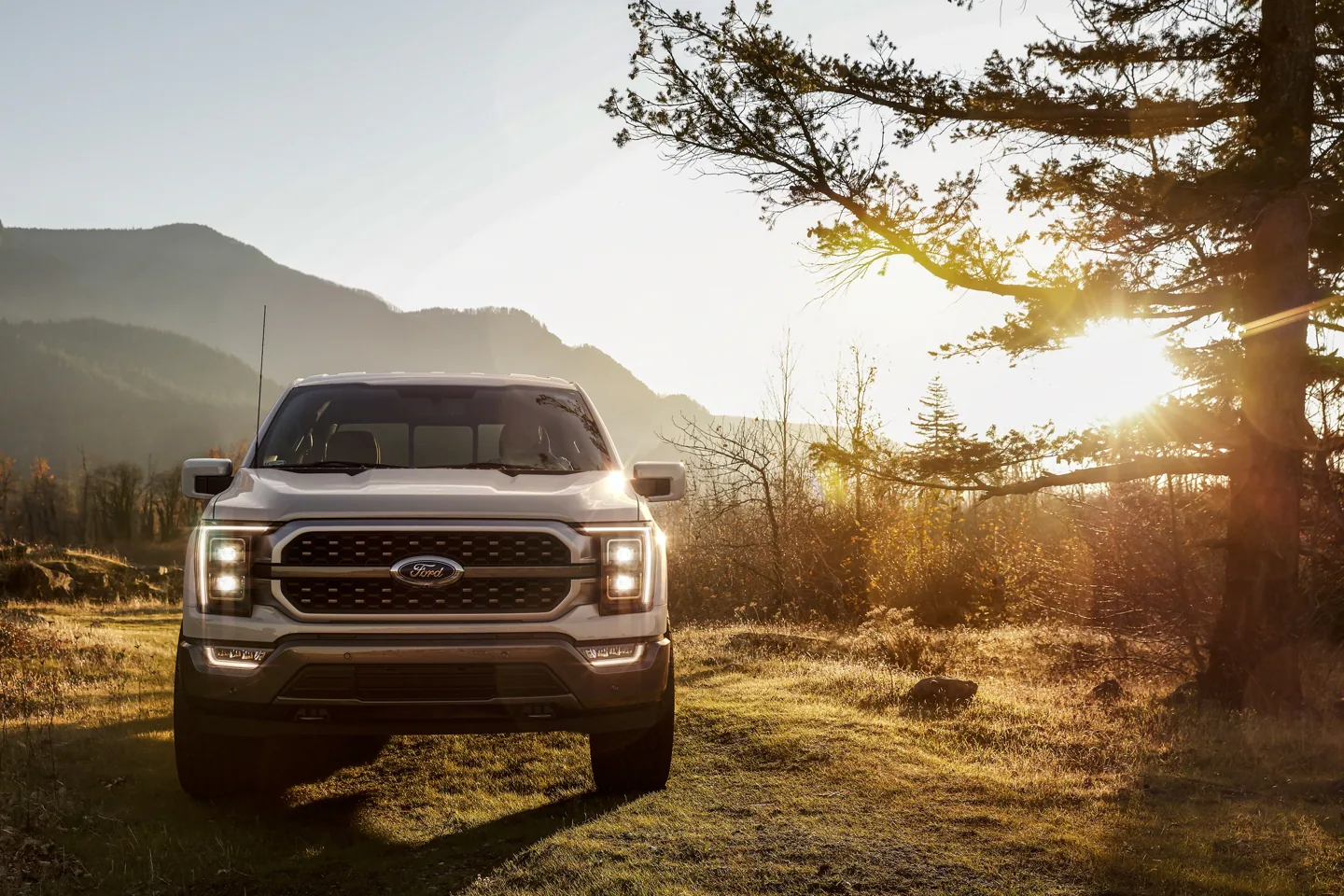 ford f-150 power train