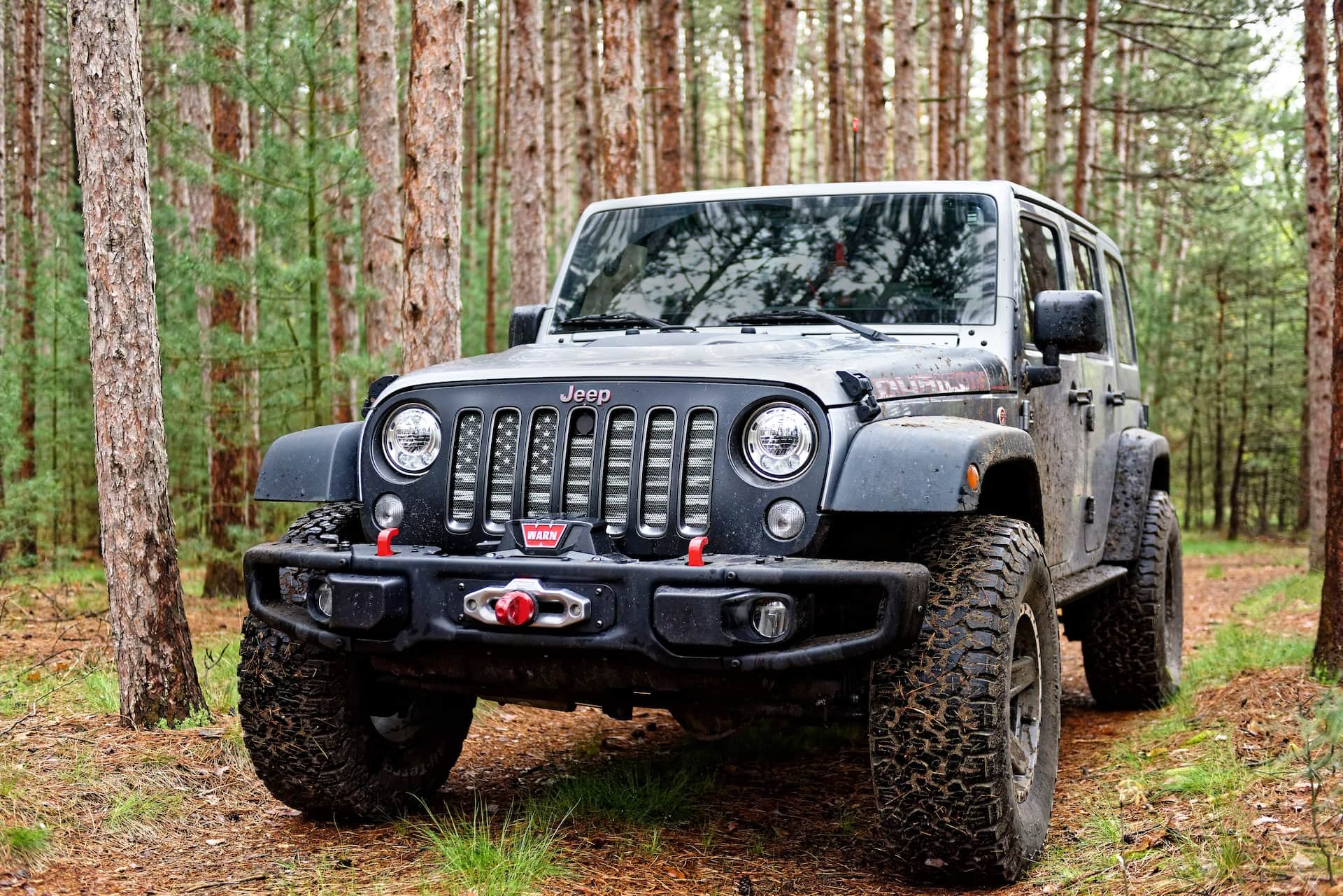 jeep wrangler in the forest